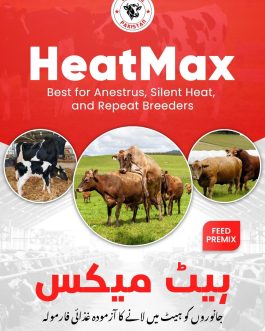 HeatMax – Animal Silent Heat and Repeat breeder