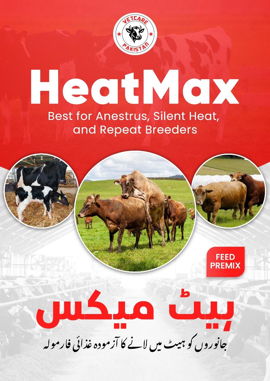 HeatMax - Animal Silent Heat and Repeat breeder
