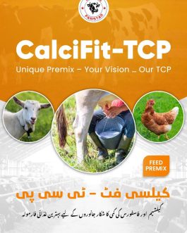 CalciFat – Feed Supplement for Livestock and Poultry