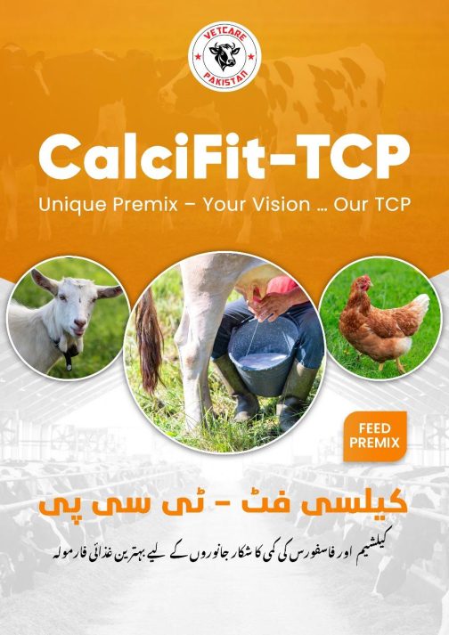 CalciFit - Feed Supplement for Livestock and Poultry
