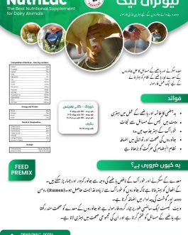NutriLac – Increases Milk Production in Dairy Animals