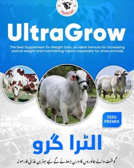 UltraGrow – Increases animal weight and meat