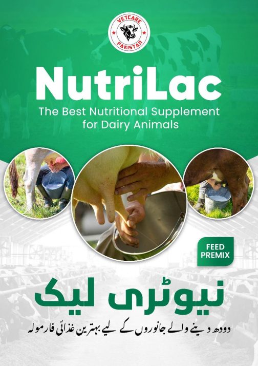 NutriLac - Nutritional Supplement for Dairy Animals